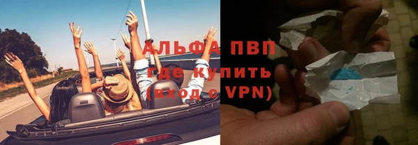 гидра Белокуриха
