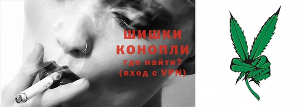 гидра Белокуриха